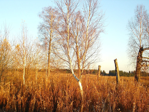 36220 (a): :1024x768